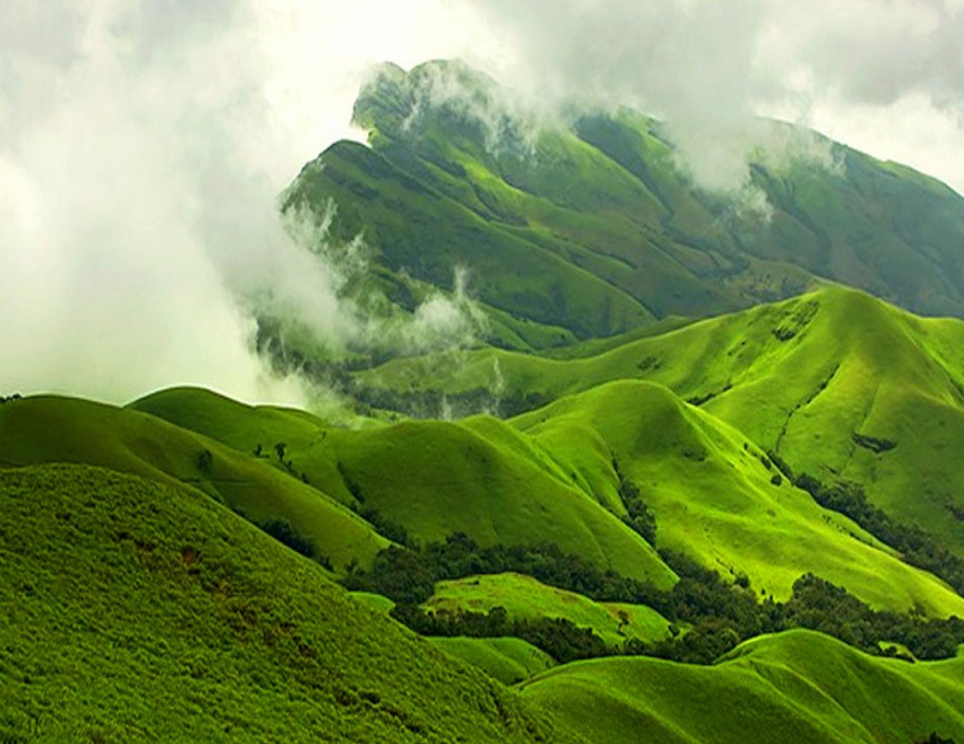 blog-image