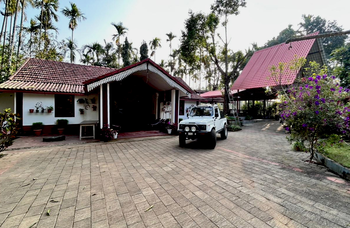 Image-2